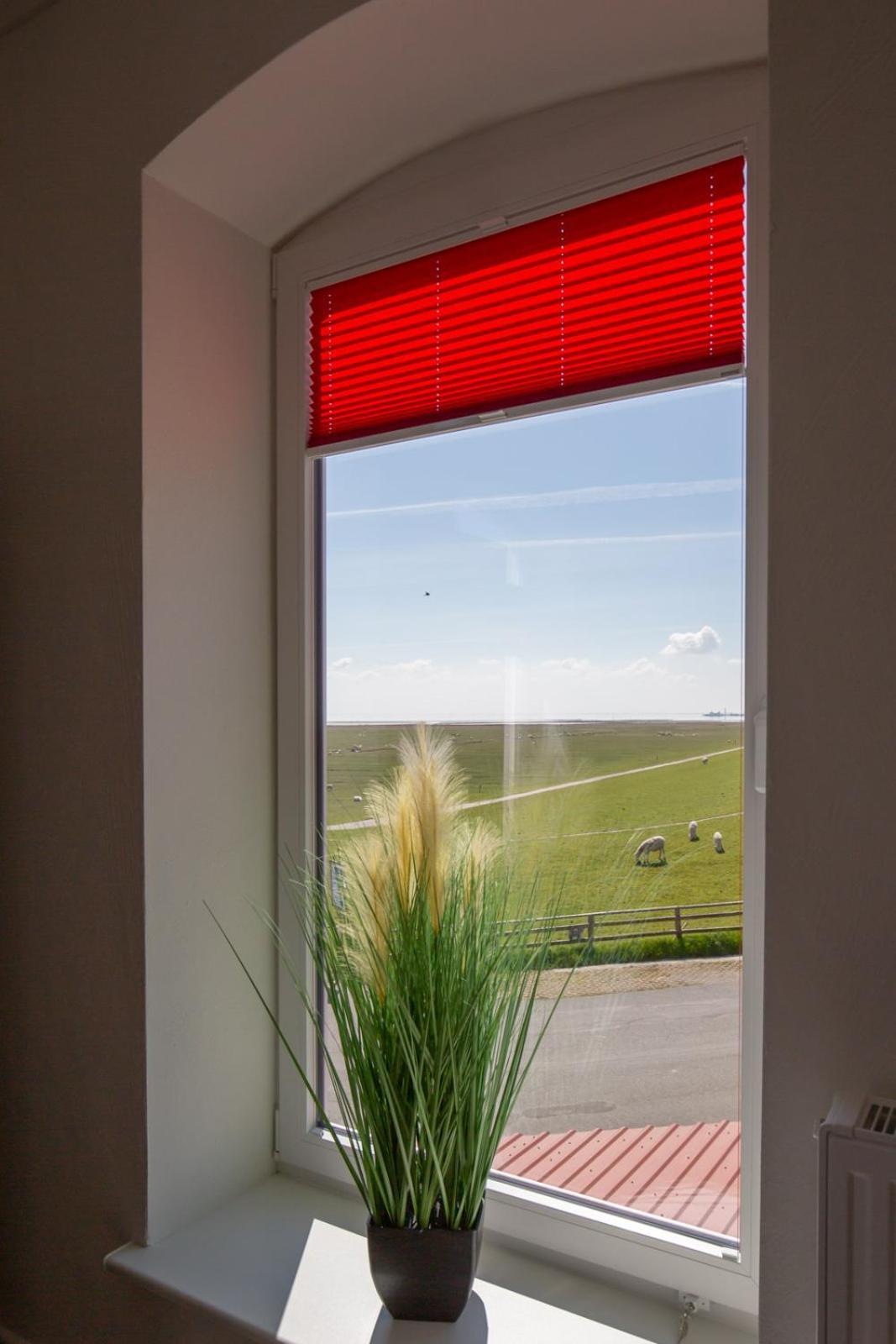 Ankerplatz Ueber Dem Hafen-Pub Apartment เพลล์วอร์ม ภายนอก รูปภาพ